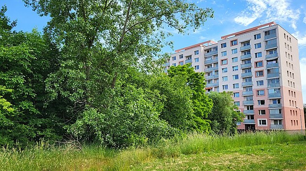 Bytov� d�m m� vyr�st na m�st� vzrostl� n�letov� zelen� vedle parkovi�t� u bytov�ho domu Harmonie I v Hradci Kr�lov�.