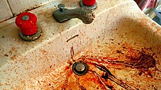 Máte �patný zá�itek z dovolené? Doká�ete se mu zasmát a sdílet ho s ostatními...