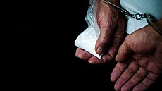 ilustra�ní snímek