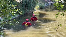 V Hořejším rybníce v pražském Hloubětíně se dopoledne utopil sedmnáctiletý...