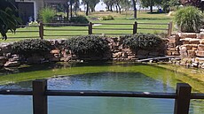 Koupací p�írodní jezírko p�ímo u domu. To byla první zahradní stavba, kterou...