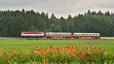 Vl�í máky, jeden z posl� za�ínajícího léta, sekundují v Mokrovratech pr�jezdu...