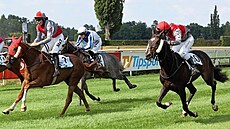 �edo�ervené barvy stáje Bezpe�nostní spole�nosti Akraz uko�istily v Cen�...