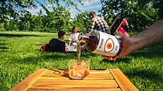 Hotový drink Negroni je prost� p�ipravený k servírování.
