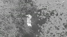 Senior na vyjí��ce zapadl do bahna, na�el ho policejní vrtulník.