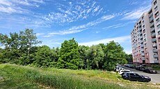 Bytový d�m má vyr�st na míst� vzrostlé náletové zelen� vedle parkovi�t� u...