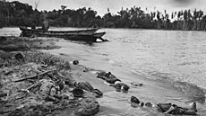 Mrtví japontí vojáci leí na písené plái Maggot Beach na behu ostrova. (1....