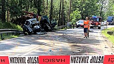 Tragická nehoda na Plzesku. idi osobního auta zemel po stetu s nákladním....