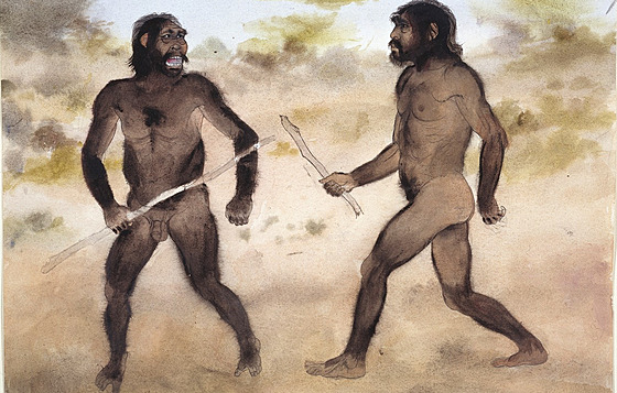 Paranthropus versus Homo habilis. V konfliktech rozhodn být mohli, vdci vak...