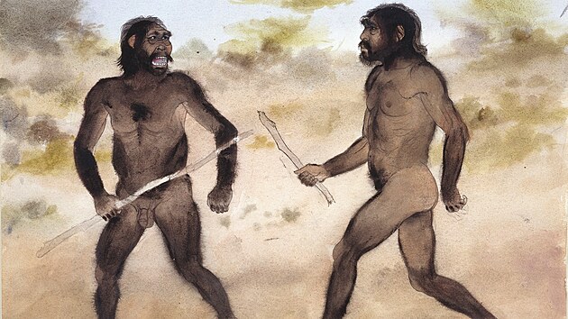Paranthropus versus Homo habilis. V konfliktech rozhodn bt mohli, vdci vak ve vtin nepedpokldaj, e by jedni podali lovy na druh. Preferovali konzumaci jinch zvat.