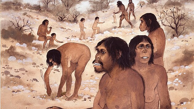 Homo habilis na vyobrazen Maurice Wilsona. Tito nai pedchdci pouvali kamenn a devn nstroje.