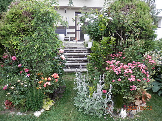 Schody z terasy jsou bránou do zahrady. 