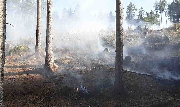 Hasiči dohašují ohniska požáru lesa na Sokolovsku v nepřístupném terénu