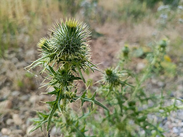 Fotografie po��zen� smartphonem Infinix Note 30 Pro