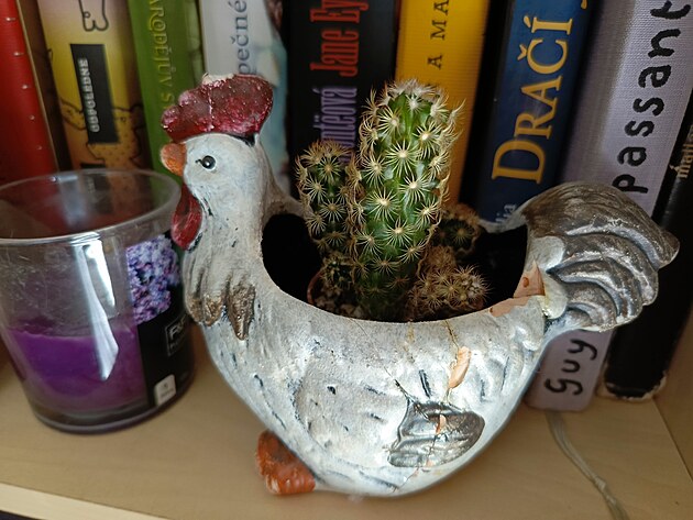 Fotografie po��zen� smartphonem Infinix Note 30 Pro