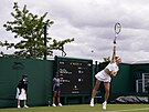 Karolína Muchová v prvním kole Wimbledonu.