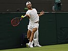 eský tenista Tomá Machá hraje forhend v prvním kole Wimbledonu.
