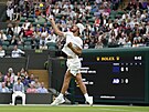 eský tenista Tomá Machá smeuje v prvním kole Wimbledonu.