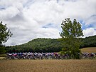 Peloton ve druhé etap Tour de France