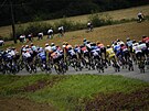 Peloton v páté etap Tour de France