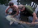 Vedoucí dtského tábora chytil dvoumetrového sumce albína