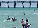 ralok plaval na floridské plái mezi lidmi (4. ervence 2023)