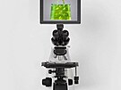 Nejmení kabelka na svt je nejlíp vidt pdo mikroskopem (16. ervna 2023)