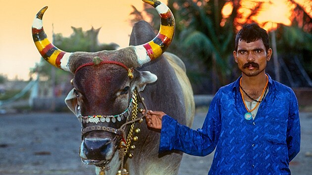 Uctvn krav nen jen otzkou Indie, Neplu a dalch hinduisticky...