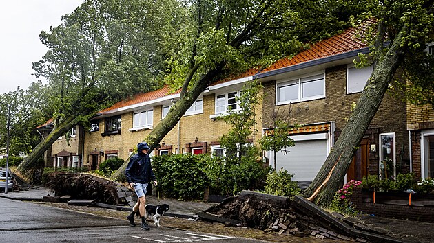 Vyvrcen stromy na ulici nizozemskm mst Haarlem, kter zashla siln boue. (5. ervence 2023)