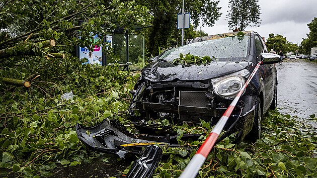 Hasii v nizozemskm mst Haarlem e nsledky siln letn boue. (5. ervence 2023)