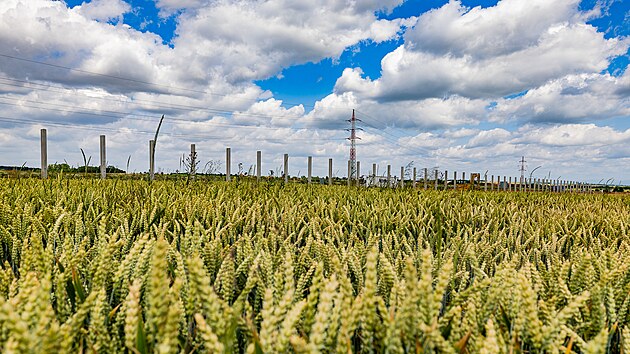 D�lnice D11 z Hradce Kr�lov� na Smi�ice je otev�ena od prosince 2021, protihlukov� st�ny v�ak dosud chyb�ly. (4. �ervence 2023)