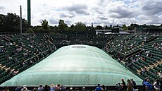I bhem tetího hracího dne Wimbledonu byly hlavní hvzdou zelené zatahovací...