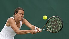 eská tenistka Barbora Strýcová se natahuje ze míkem v prvním kole Wimbledonu.