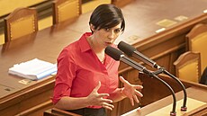 P�edsedkyn� Sn�movny a TOP 09 Markéta Pekarová Adamová