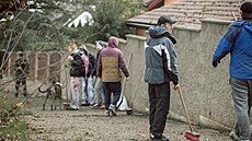 U� skoro rok pomáhají bezdomovci s úklidem teplických ulic. Za dv� hodiny práce...