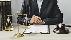 ilustra�ní snímek