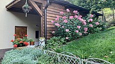 Pro paní Romanu jsou na dvacet let budované zahrad� radostí i krásn� kvetoucí...