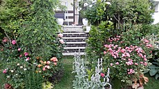 Schody z terasy jsou bránou do zahrady. 