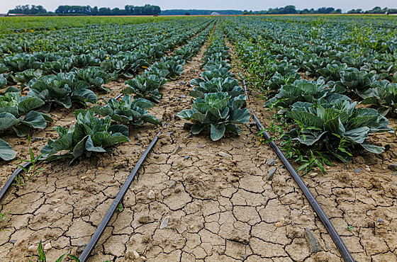 ilustra�ní snímek