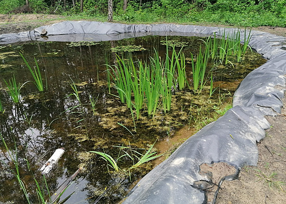 Technologie, kterou projde skoro dv� st� tisíc tun nebezpe�ných odpad�, je bezúdr�bová.