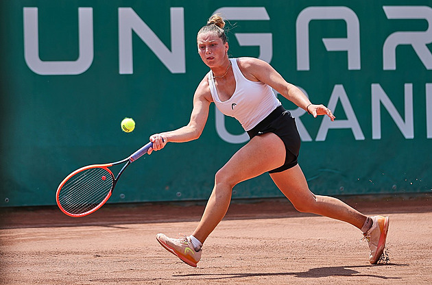 Sisková při debutu na turnaji WTA porazila v Budapešti Rodinovou