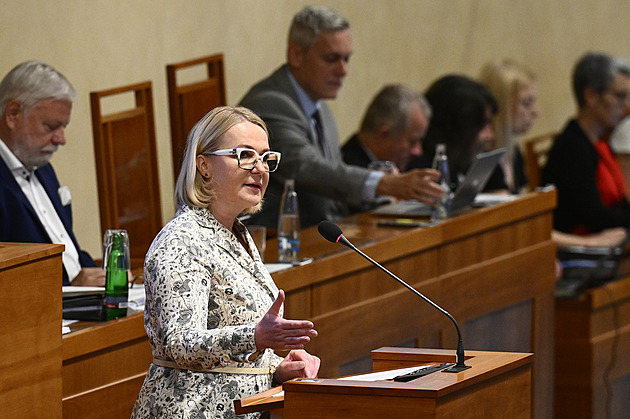 Senát kývl na dohodu s USA. Nemají ani plán, ani zájem budovat tu základnu