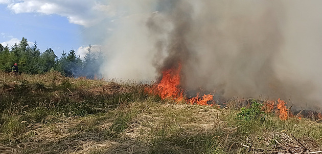 Hasiči v noci likvidovali druhý lesní požár na Blanensku, škody jdou do milionu