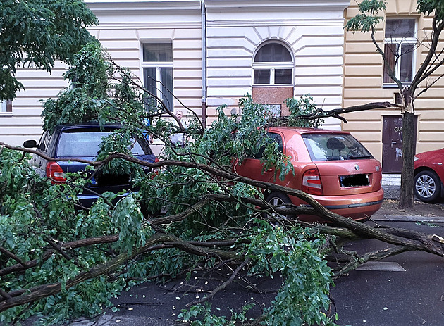 Českem se prohnaly bouřky, silný vítr lámal stromy. Třicítky budou pokračovat
