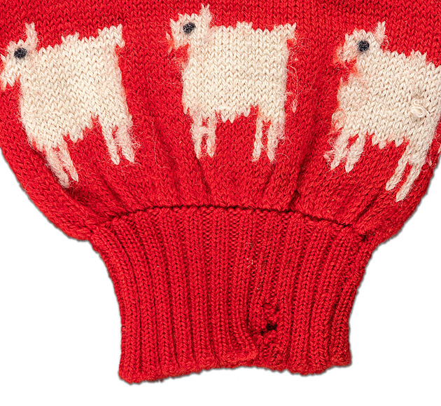 Dianin červený svetr s černou ovcí se vydražil za více než milion dolarů