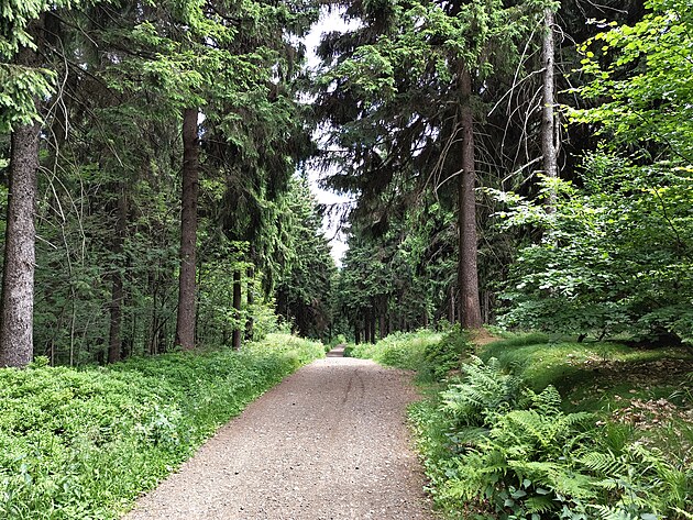 Fotografie pozen smartphonem Nothing Phone (2)