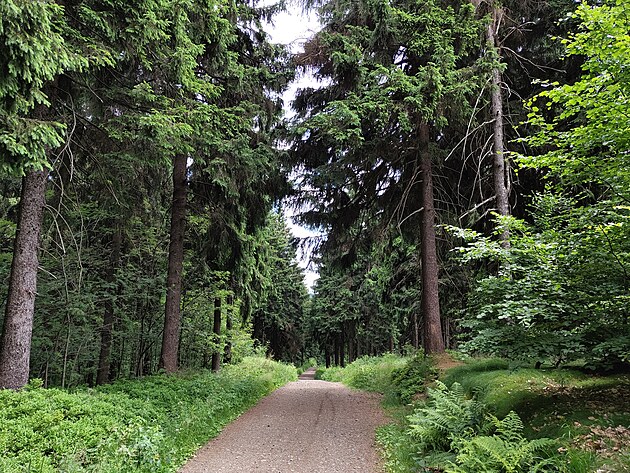 Fotografie pozen smartphonem Nothing Phone (2)