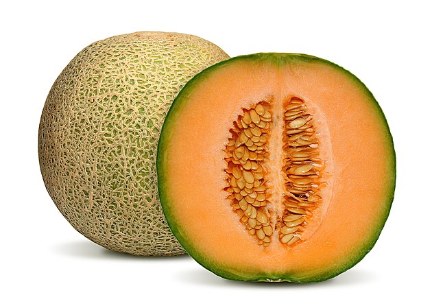 Nejmen CANTALOUPE Nejdrobnj ze vech meloun je zejm Cantaloupe, pro...