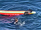 Mosk vydra krade u pobe Santa Cruz v Kalifornii surfai jeho (14. ervence...