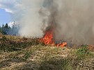 Hasii zasahují u poáru lesa poblí Býkovic na Blanensku. (19. ervence 2023)